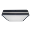 LED taklampa för badrum ELLÉ LED/24W/230V 3000/4000/6500K 26x26 cm IP54 antracit