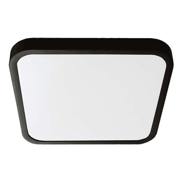 LED taklampa för badrum LED/18W/230V 4000K IP44 25x25 cm svart