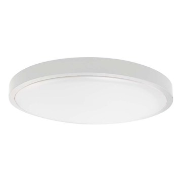 LED taklampa för badrum LED/18W/230V 4000K IP44 diameter 22,5 cm vit