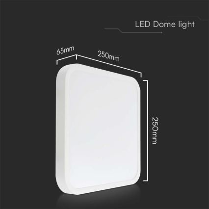 LED taklampa för badrum LED/18W/230V 6500K IP44 25x25 cm vit