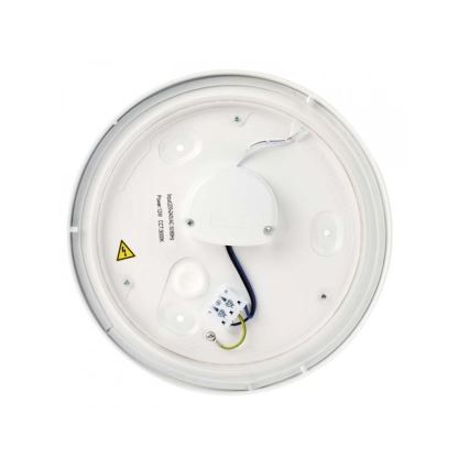 LED taklampa för badrum LED/18W/230V IP44