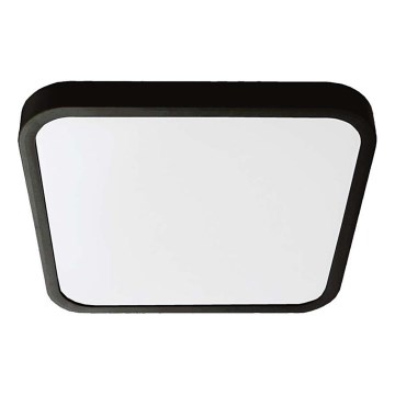 LED taklampa för badrum LED/24W/230V 4000K IP44 29,5x29,5 cm svart