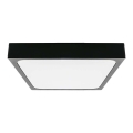 LED taklampa för badrum LED/24W/230V 6500K IP44 29,5x29,5 cm svart