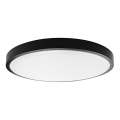 LED taklampa för badrum LED/24W/230V 6500K IP44 diameter 29,5 cm svart