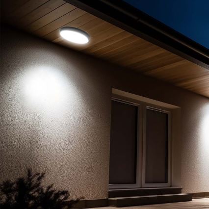 LED taklampa för badrum LED/24W/230V 6500K IP44 diameter 29,5 cm svart