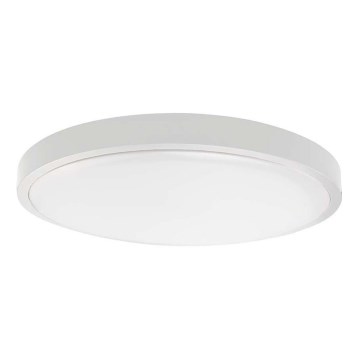 LED taklampa för badrum LED/36W/230V 6500K IP44 diameter 35 cm vit