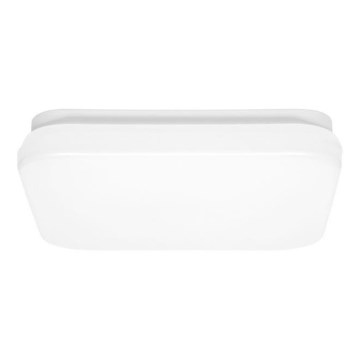 LED taklampa för badrum LUKY LED/12W/230V 4000K 24x24 cm IP44