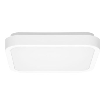 LED taklampa för badrum LUKY LED/12W/230V 4000K 25x25 cm IP44 vit