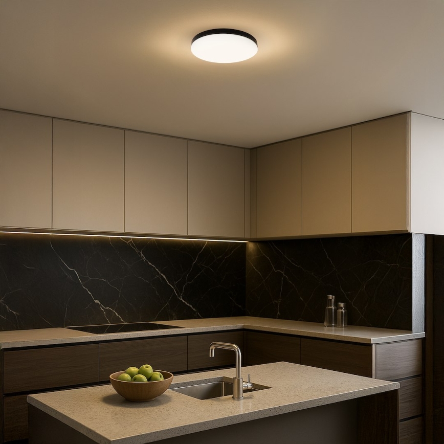 LED taklampa för badrum MAYA LED/15W/230V diameter 33 cm IP44 svart