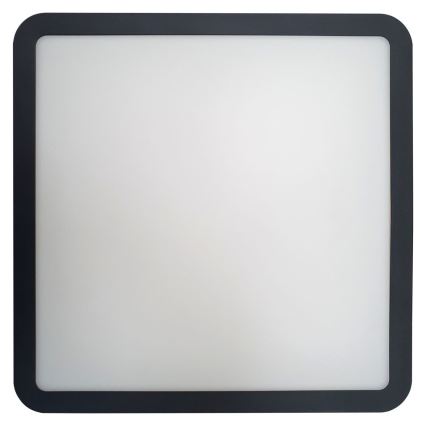 LED taklampa för badrum med sensor ELLÉ LED/24W/230V 3000/4000/6500K 26x26 cm IP54 antracit