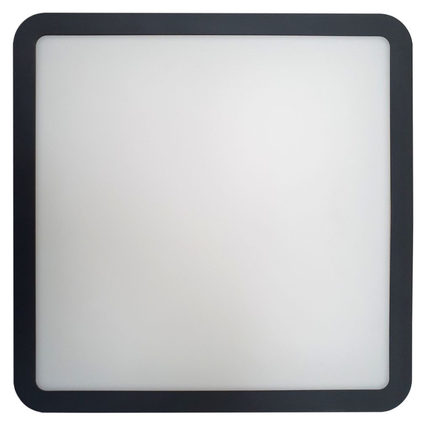 LED taklampa för badrum med sensor ELLÉ LED/24W/230V 3000/4000/6500K 26x26 cm IP54 antracit