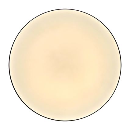 LED taklampa för badrum MOON LED/18W/230V svart IP44