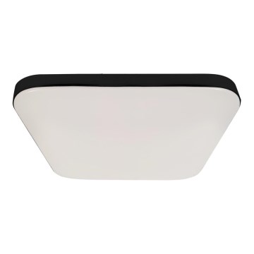 LED taklampa för badrum NEMO LED/17W/230V IP44 svart