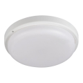 LED taklampa för badrum TOLU LED/18W/230V 4000K IP54 vit