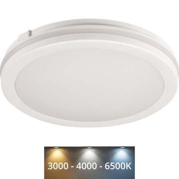 LED taklampa för utomhusbruk BENO ECO LED/30W/230V 3000/4000/6500K diameter 30 cm IP65 vit