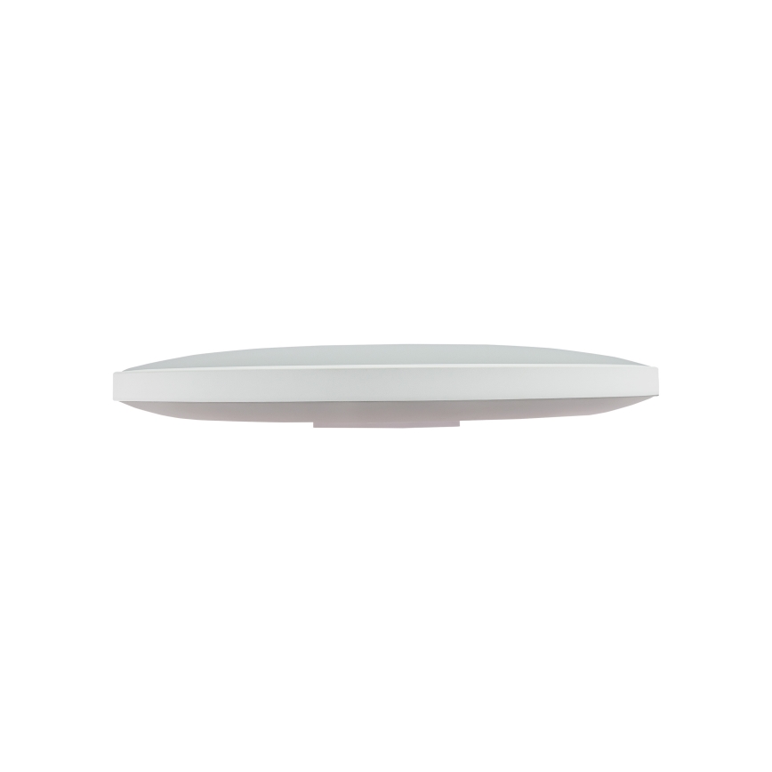 LED taklampa för utomhusbruk NYMPHEA LED/32W/230V IP54 3000K