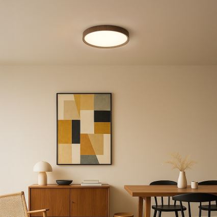 LED-taklampa FOREST LED/24W/230V Ø 39 cm brun