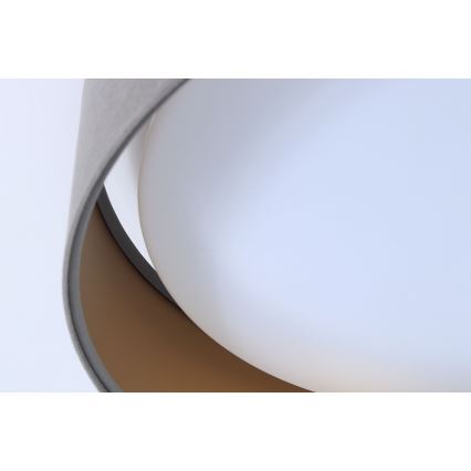 LED Taklampa GALAXY 1xLED/24W/230V Ø 44 cm grå/guld