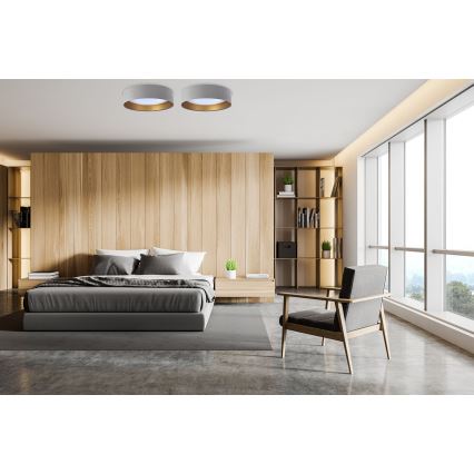 LED-taklampa GALAXY LED/24W/230V Ø 44 cm grå/guld