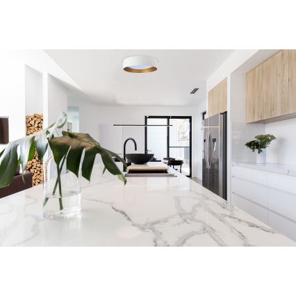 LED-taklampa GALAXY LED/24W/230V Ø 44 cm vit/guld