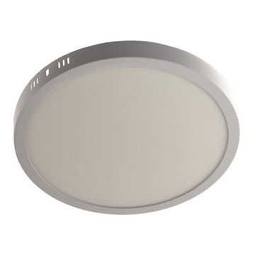 LED taklampa GERRIT LED/24W/230V 4000K vit