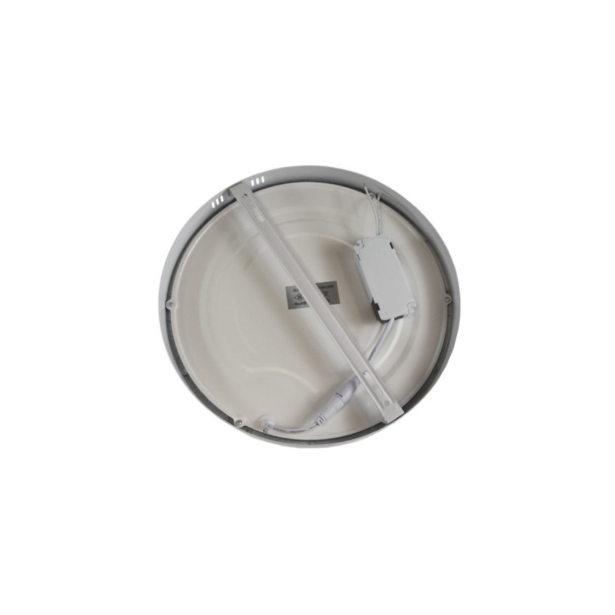 LED taklampa GERRIT LED/24W/230V 6500K vit