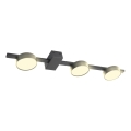 LED taklampa JOY 3xGX53/6W/230V svart