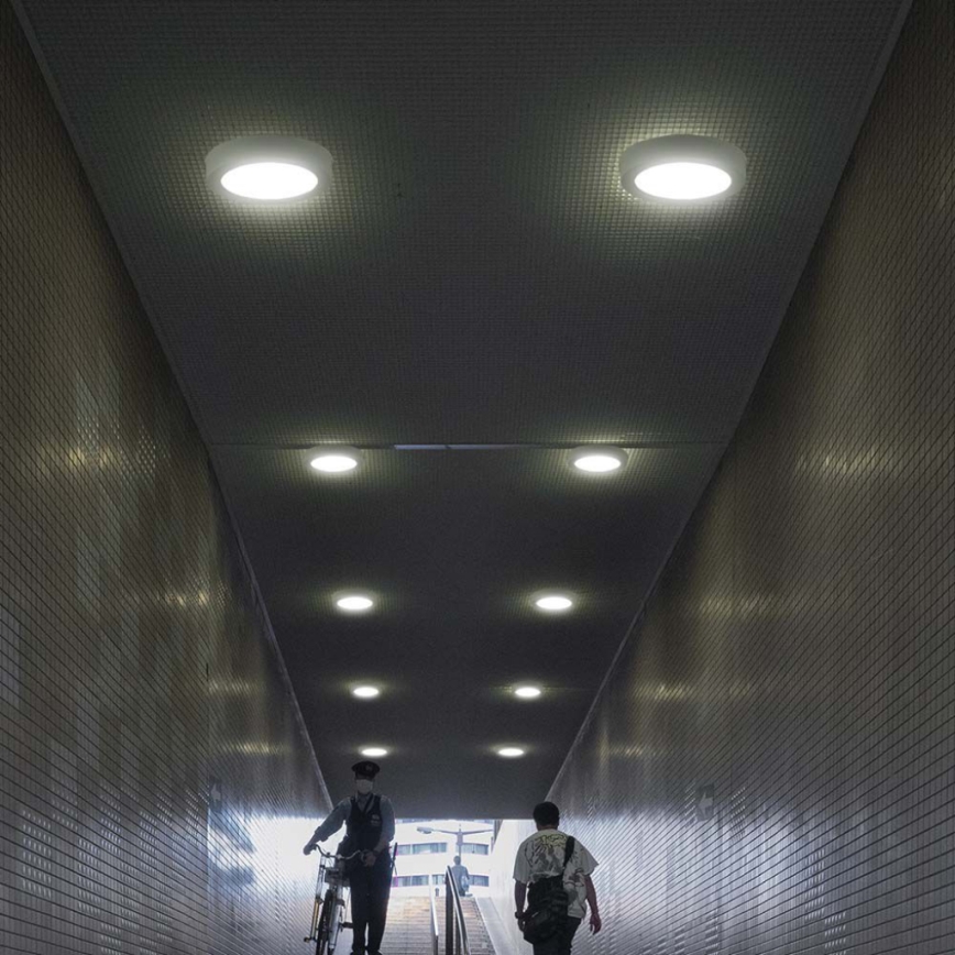 LED taklampa LED/12W/230V 4000K diameter 16,7 cm vit