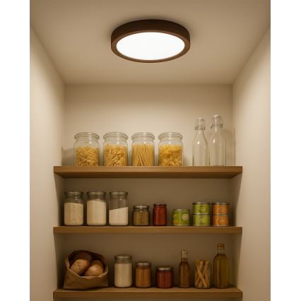 LED taklampa LED/18W/230V 3000/4000/6500K Ø 23 cm brun