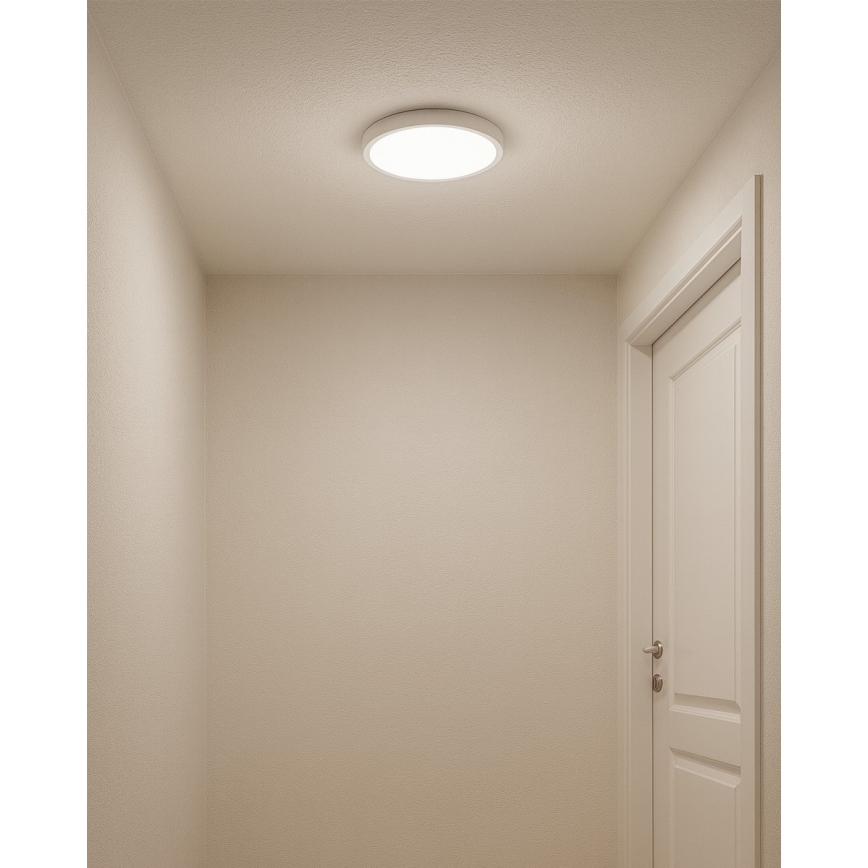 LED-taklampa LED/18W/230V 3000/4000/6500K Ø 23 cm vit