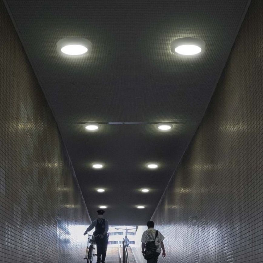 LED taklampa LED/18W/230V 6500K diameter 21,6 cm