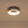 LED taklampa LED/20W/230V 3000K svart