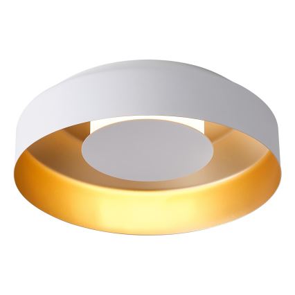 LED taklampa LED/20W/230V 3000K vit