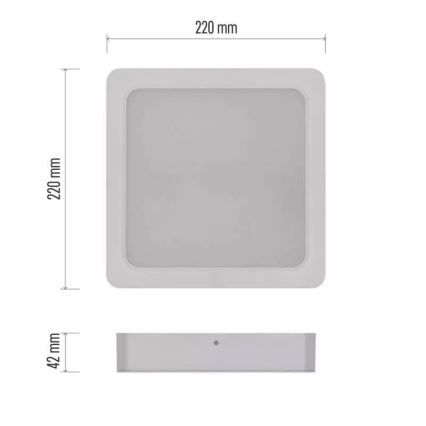 LED taklampa LED/24W/230V 22x22 cm vit