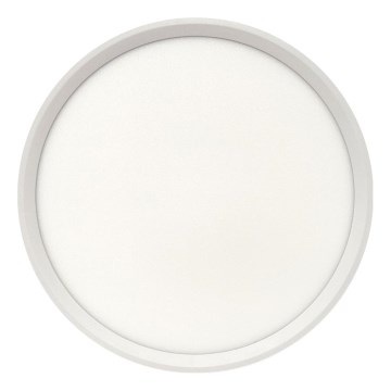 LED taklampa LED/24W/230V 3000/4000/6500K diam. 30 cm vit