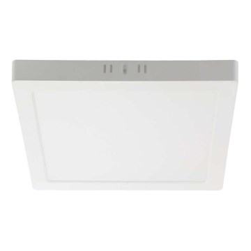LED taklampa LED/24W/230V 3000K 28,7x28,7 cm vit