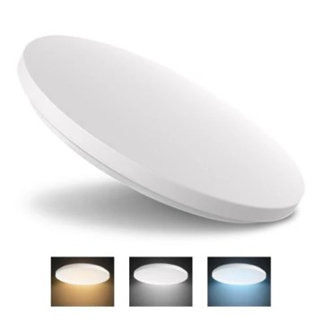 LED taklampa LED/24W/230V 3000K/4000K/6000K