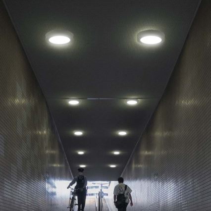 LED taklampa LED/24W/230V 3000K diameter 28,8 cm