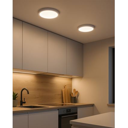 LED taklampa LED/24W/230V 4200K diameter 28,5 cm vit
