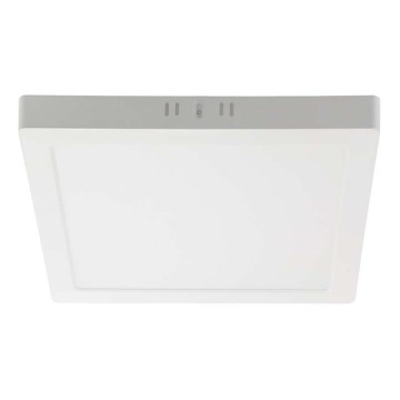 LED taklampa LED/24W/230V 6500K 28,7x28,7 cm vit