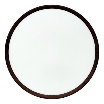 LED taklampa LED/32W/230V 3000/4000/6500K Ø 40 cm brun