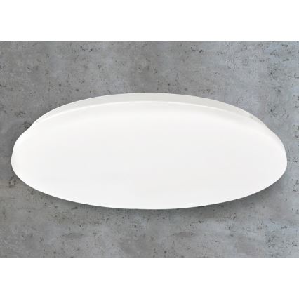 LED taklampa LED/45W/230V 3000K/4000K/6400K diameter 48 cm vit