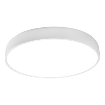 LED taklampa LED/50W/230V 4000K diameter 50 cm vit