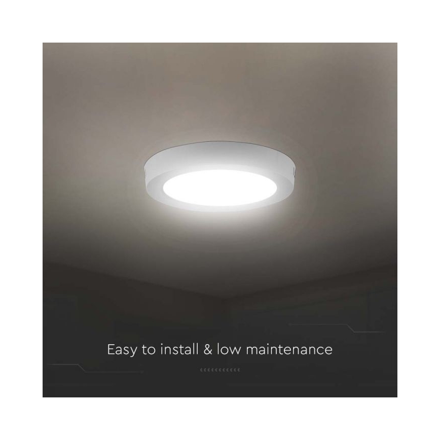 LED taklampa LED/6W/230V 6500K diameter 12 cm vit