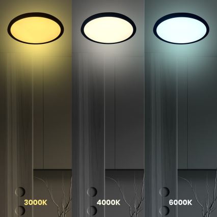 LED Taklampa MAQ LED/24W/230V 3000/4000/6500K IP40 svart
