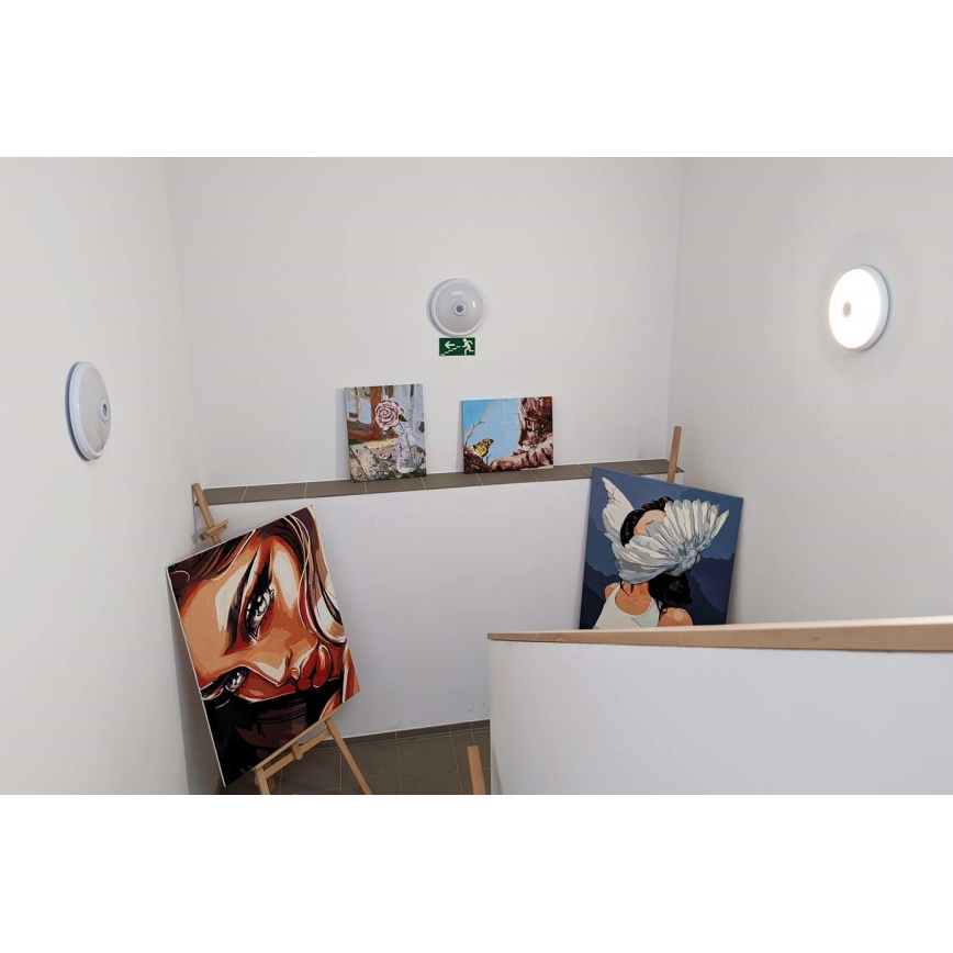 LED-taklampa med rörelse- och skymningssensor LED/16W/230V Ø 29 cm vit