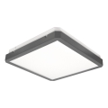 LED taklampa med rörelse- och skymningssensor RAVA LED/38W/230V 4000K 41x41 cm antracit