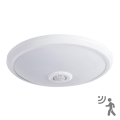 LED taklampa med sensor LED/14W/230V 4000K
