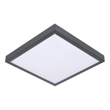 LED taklampa med sensor VITALI LED/24W/230V 4000K