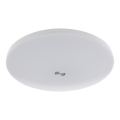 LED-taklampa med skymnings- och rörelsesensor MORETTI LED/24W/230V Ø 30 cm IP40 6500K